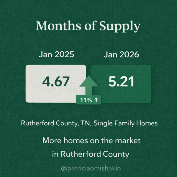 ChatGPT Image Feb 22, 2026, 10_19_09 PM